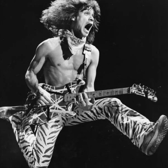 Meet your Posher, Max - Picture 1 of 1